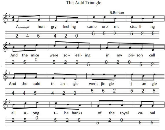 The auld triangle banjo tab