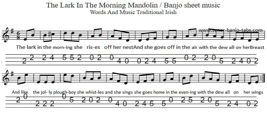 lark in the morning mandolin / banjo tab