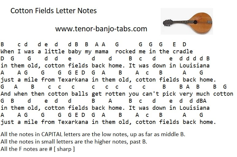 cotton fields notes
