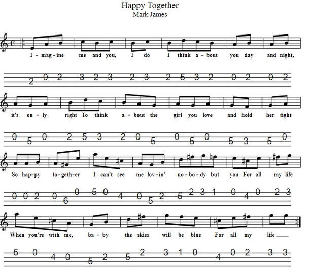 Happy Together Mandolin Banjo Tab By The Turtles