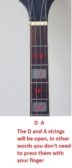 tenor banjo notes on fretboard for beginners