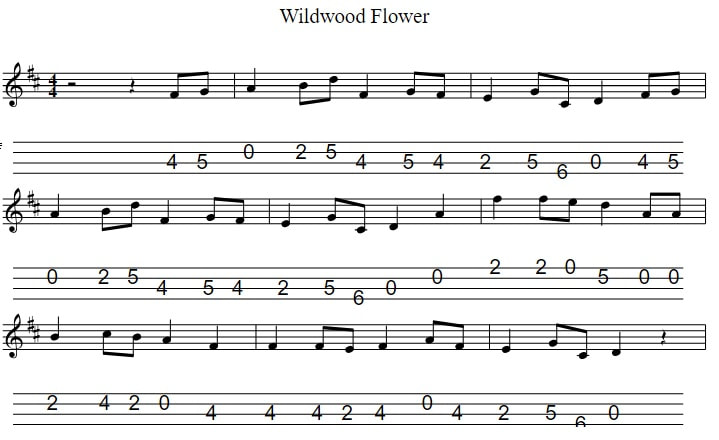 Wildwood flower mandolin / banjo tab in the key of D