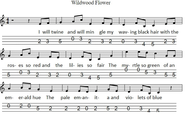 Wildwood flower mandolin tab